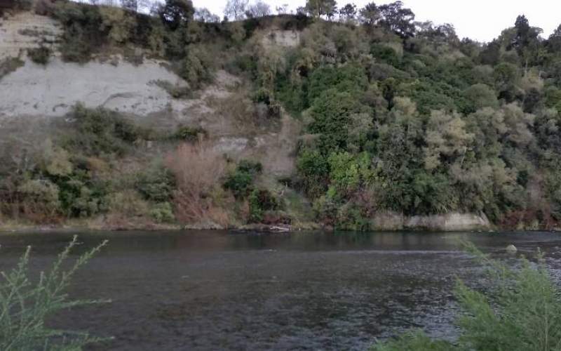 Putai Ngahere Domain (Vinegar Hill) Freedom/Basic Camp New Zealand